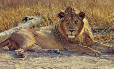 Soon To Be King- Signed By The Artist								 – Canvas Giclee
								 – Limited Edition
								 – 175 S/N
								 – 
								19 x 31