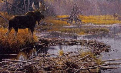 Autumn Overture – Moose- Signed By The Artist								 – Paper Lithograph
								 – Limited Edition
								 – 950 S/N
								 – 
								19 1/2 x 31 1/4								
								 –