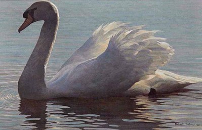 Backlight – Mute Swan- Signed By The Artist								 – Paper Lithograph
								 – Limited Edition
								 – 950 S/N
								 – 
								15 3/8 x 23