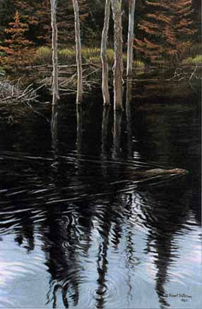 Beaver Pond Reflections- Signed By The Artist								 – Paper Lithograph
								 – Limited Edition
								 – 950 S/N
								 – 
								17 1/2 x 11 3/8