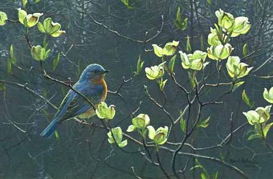 Bluebird And Blossoms – Prestige Edition- Signed By The Artist								 – Paper Lithograph
								 – Limited Edition
								 – 450 S/N
								 – 
								11 3/8 x 17