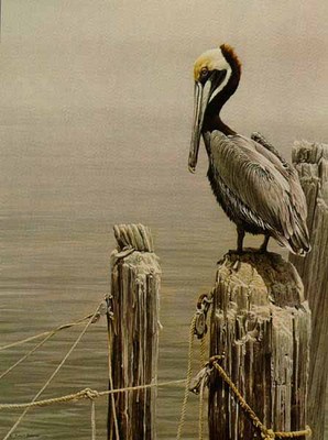 Brown Pelican And Pilings- Signed By The Artist								 – Paper Lithograph
								 – Limited Edition
								 – 950 S/N
								 – 
								30 x 20 1/2