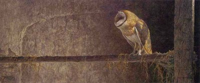 Catching The Light – Barn Owl- Signed By The Artist								 – Paper Lithograph
								 – Limited Edition
								 – 2000 S/N
								 – 
								13 3/4 x 32 1/2