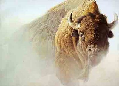 Chief – American Bison- Signed By The Artist								 – Paper Lithograph
								 – Limited Edition
								 – 950 S/N
								 – 
								20 x 27 1/4