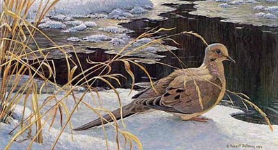 Down For A Drink – Mourning Dove- Signed By The Artist								 – Paper Lithograph
								 – Limited Edition
								 – 56 P/P
								 – 
								8 3/4 x 14 3/4