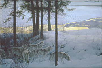 Edge Of Night – Timberwolves- Signed By The Artist								 – Paper Lithograph
								 – Limited Edition
								 – 9600 S/N
								 – 
								21 5/8 x 32 1/2