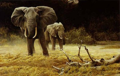 Elephant Cow And Calf- Signed By The Artist								 – Canvas Giclee
								 – Limited Edition
								 – 180 S/N
								 – 
								27 x 42