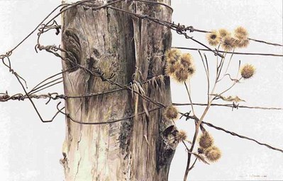 Fence Post And Burdock- Signed By The Artist								 – Paper Lithograph
								 – Limited Edition
								 – 20 P/P
								 – 
								10 x 16