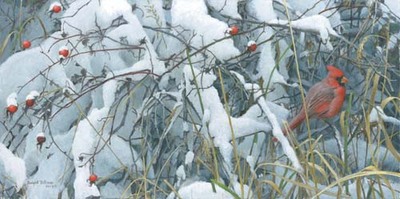 Fresh Snow – Cardinal- Signed By The Artist								 – Paper Lithograph
								 – Limited Edition
								 – 650 S/N
								 – 
								10 x 20