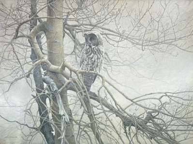 Ghost Of The North – Great Gray Owl- Signed By The Artist								 – Canvas Giclee
								 – Limited Edition
								 – A/P
								 – 
								30 x 40								
								 –