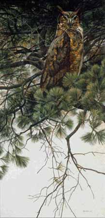 Great Horned Owl In White Pine- Signed By The Artist								 – Paper Lithograph
								 – Limited Edition
								 – 950 S/N
								 – 
								30 1/2 x 15 7/8