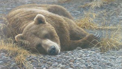 Grizzly At Rest- Signed By The Artist								 – Canvas Giclee
								 – Limited Edition
								 – A/P
								 – 
								24 x 42