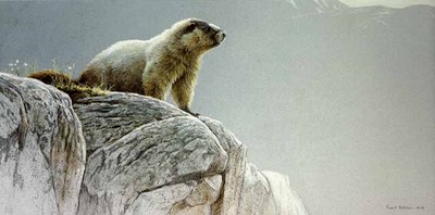 Hoary Marmot- Signed By The Artist								 – Paper Lithograph
								 – Limited Edition
								 – 450 S/N
								 – 
								11 1/4 x 22 1/2