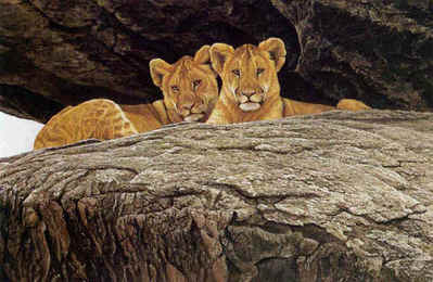 Lion Cubs- Signed By The Artist								 – Paper Lithograph
								 – Limited Edition
								 – 950 S/N
								 – 
								17 1/2 x 24 1/2