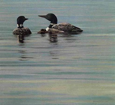 Loon Family- Signed By The Artist								 – Paper Lithograph
								 – Limited Edition
								 – 950 S/N
								 – 
								16 1/2 x 18 1/4