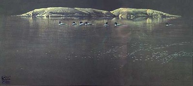 Loon Gathering At Big East- Signed By The Artist								 – Canvas Giclee
								 – Limited Edition
								 – 180 S/N
								 – 
								20 x 40