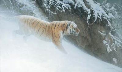 Momentum – Siberian Tiger- Signed By The Artist								 – Canvas Giclee
								 – Limited Edition
								 – 180 S/N
								 – 
								24 x 40