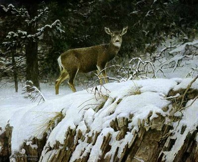 Mule Deer In Snow- Signed By The Artist								 – Paper Lithograph
								 – Limited Edition
								 – 2500 S/N
								 – 
								8 1/4 x 10