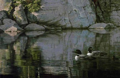 Northern Reflections – Loon Family- Signed By The Artist								 – Canvas Giclee
								 – Limited Edition
								 – 350 S/N
								 – 
								27 x 40