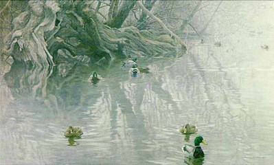 Old Willow And Mallards- Signed By The Artist								 – Paper Lithograph
								 – Limited Edition
								 – 950 S/N
								 – 
								20 1/4 x 33 1/2