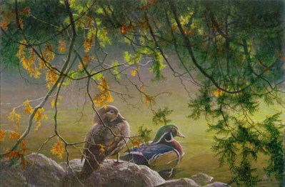 On The Pond – Wood Ducks- Signed By The Artist								 – Canvas Lithograph
								 – Limited Edition
								 – 350 S/N
								 – 
								16 x 24