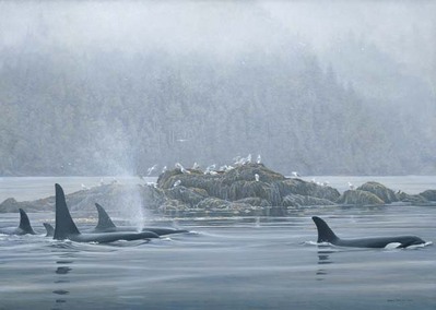 Orca Procession- Signed By The Artist								 – Canvas Giclee
								 – Limited Edition
								 – 250 S/N
								 – 
								27 x 38