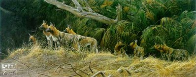 Painted Dogs- Signed By The Artist								 – Paper Lithograph
								 – Limited Edition
								 – 76 A/P
								 – 
								15 x 36