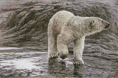 Polar Bear- Signed By The Artist								 – Paper Lithograph
								 – Limited Edition
								 – 290 S/N
								 – 
								21 5/8 x 33 1/4