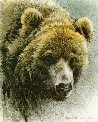 Predator Portfolio – Grizzlies (Set Of 3)- Signed By The Artist								 – Paper Lithograph
								 – Limited Edition
								 – 950 S/N
								 – 
								7 7/8 x 9 3/4