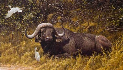 Resting Place – Cape Buffalo- Signed By The Artist								 – Paper Lithograph
								 – Limited Edition
								 – 950 S/N
								 – 
								19 1/2 x 33 1/2