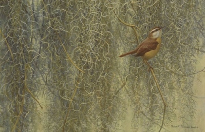 Song Of The South – Carolina Wren- Signed By The Artist								 – Canvas Lithograph
								 – Limited Edition
								 – 76 A/P
								 – 
								12 x 18