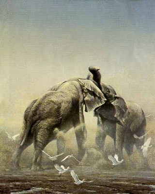 Sparring Elephants- Signed By The Artist								 – Paper Lithograph
								 – Limited Edition
								 – 950 S/N
								 – 
								28 x 22 1/4