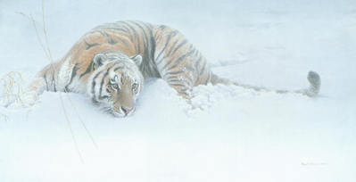 Sudden Move – Siberian Tiger- Signed By The Artist								 – Canvas Giclee
								 – Limited Edition
								 – 350 S/N
								 – 
								30 x 60