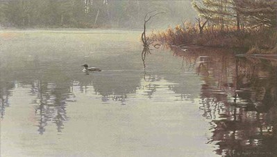 Summer Morning – Loon- Signed By The Artist								 – Paper Lithograph
								 – Limited Edition
								 – 20 P/P
								 – 
								11 1/2 x 19 1/2