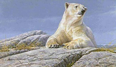 Summertime – Polar Bear- Signed By The Artist								 – Paper Lithograph
								 – Limited Edition
								 – 950 S/N
								 – 
								14 x 22 3/4