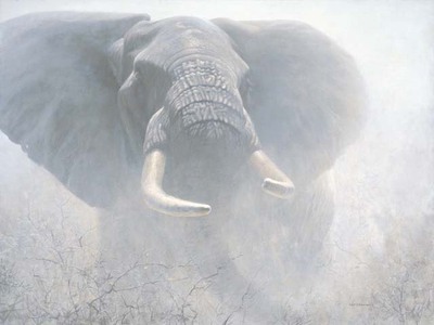 Tembo- Signed By The Artist								 – Canvas Giclee
								 – Limited Edition
								 – A/P
								 – 
								30 x 40