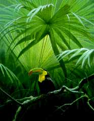 Under The Canopy – Toucan- Signed By The Artist								 – Paper Lithograph
								 – Limited Edition
								 – 950 S/N
								 – 
								18 1/2 x 14 5/8