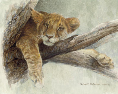 Up A Tree – Lion Cub- Signed By The Artist								 – Paper Lithograph
								 – Limited Edition
								 – 950 S/N
								 – 
								8 x 10								
								 –