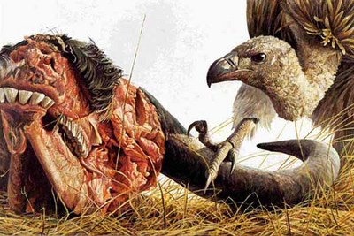 Vulture And Wildebeest- Signed By The Artist								 – Paper Lithograph
								 – Limited Edition
								 – 33 A/P
								 – 
								20 x 30 1/4