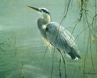 Wading Heron And Willow- Signed By The Artist								 – Paper Lithograph
								 – Limited Edition
								 – 950 S/N
								 – 
								11 1/2 x 14 3/8