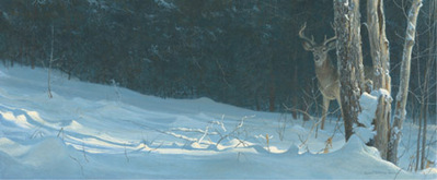 Whitetail In Winter- Signed By The Artist								 – Paper Lithograph
								 – Limited Edition
								 – 950 S/N
								 – 
								13 1/2 x 32 3/8								
								 –