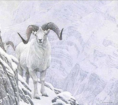 White World – Dall Sheep- Signed By The Artist								 – Paper Lithograph
								 – Limited Edition
								 – 950 S/N
								 – 
								22 x 19 7/8