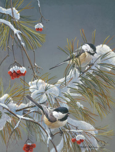 Winter Song – Chickadees- Signed By The Artist								 – ClasArt Giclee
								 – Limited Edition
								 – 350 S/N
								 – 
								13 1/8 x 10