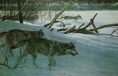 Wolf Pack In Moonlight- Signed By The Artist								 – Canvas Lithograph
								 – Limited Edition
								 – 250 S/N
								 – 
								24 x 36