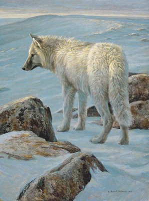 Arctic Evening – White Wolf- Signed By The Artist								 – Canvas Giclee
								 – Limited Edition
								 – 180 S/N
								 – 
								24 x 18