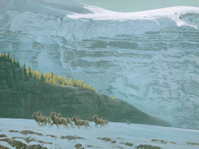 Big Horn Sheep Herd- Signed By The Artist								 – Canvas Giclee
								 – Limited Edition
								 – S/N
								 – 
								27 x 36