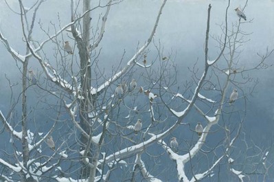 Bohemian Waxwings And Poplar- Signed By The Artist								 – Canvas Giclee
								 – Limited Edition
								 – 40 A/P
								 – 
								14 x 21