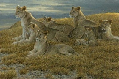 Family Gathering – Lioness And Cubs- Signed By The Artist								 – Canvas Giclee
								 – Limited Edition
								 – 180 S/N
								 – 
								24 x 36