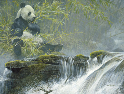 Giant Panda- Signed By The Artist								 – Paper Lithograph
								 – Limited Edition
								 – 5000 S/N
								 – 
								15 7/8 x 11 7/8