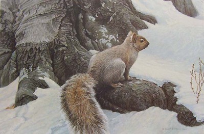 Gray Squirrel- Signed By The Artist								 – Canvas Giclee
								 – Limited Edition
								 – 40 A/P
								 – 
								18 x 27